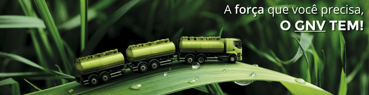 Kits Bi-Fuel - Diesel