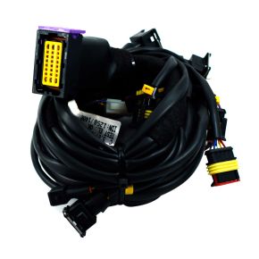 Cabo Chicote Módulo SGAS 124 4 Cilindros